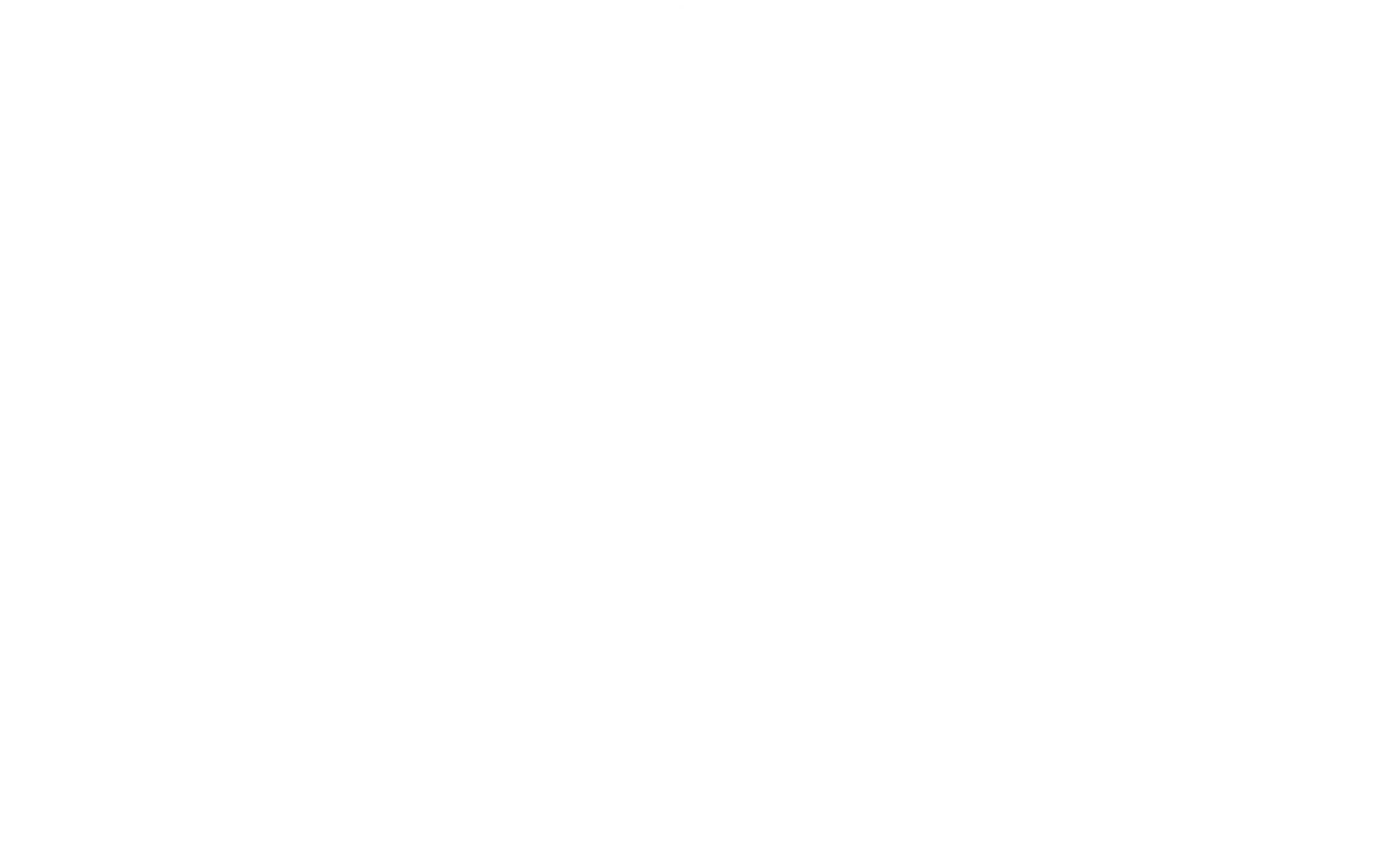 vidya academy logo