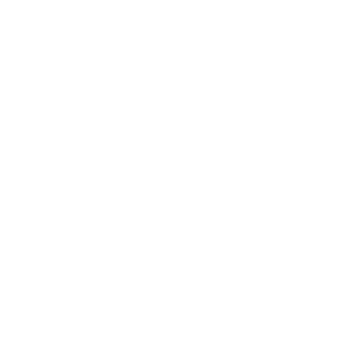 vyvidh logo